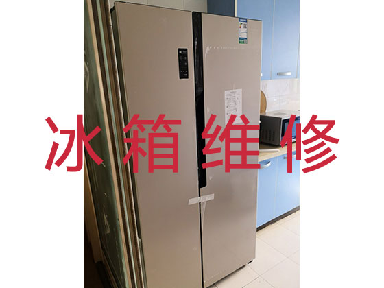 上海冰箱维修